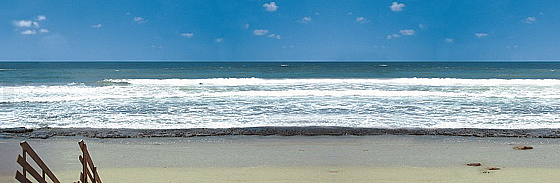 �� �����