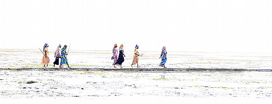 ��� �����