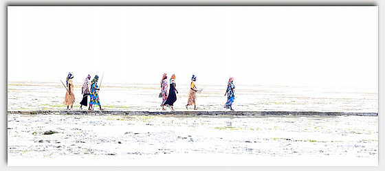 ������ ��� �����