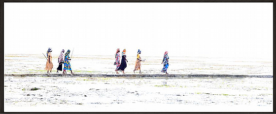 ����� ��� �����