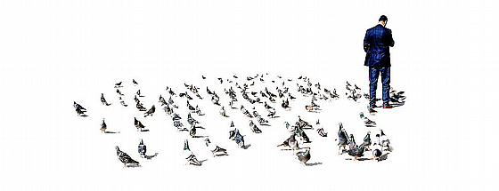 ���� ���� ������ ���� ����