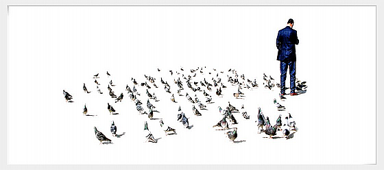 ���� ���� ����� ������ �� ����