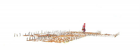 ��� �����