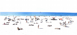 באמצע החוף באמצע החוף