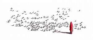 יונים יונים