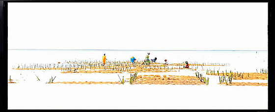 ��� ������ ���� ����