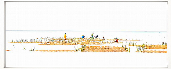 ����� ���� �����