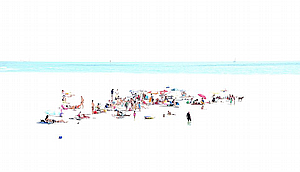 צפוף בים צפוף בים